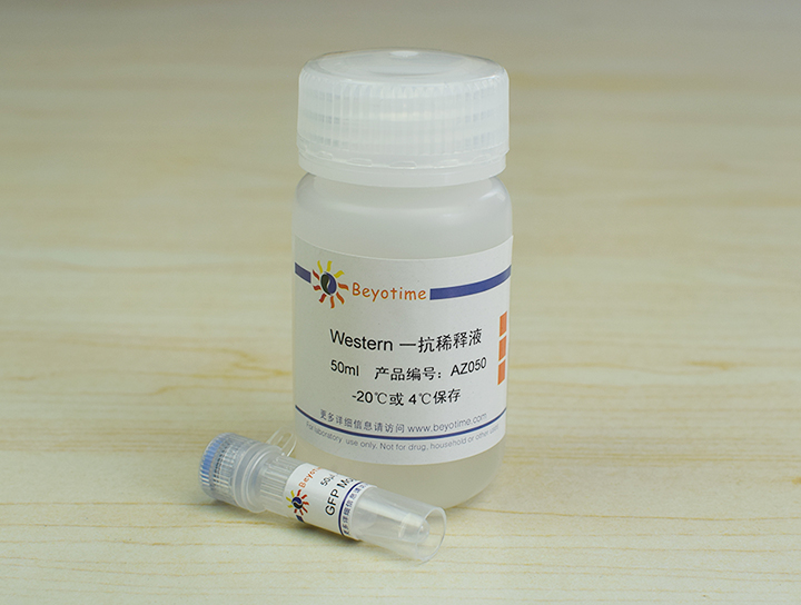 GFP Mouse Monoclonal Antibody抗体 - Beyotime/碧云天