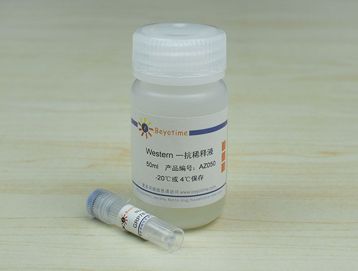 GRP78 Rabbit Polyclonal Antibody抗体 - Beyotime/碧云天