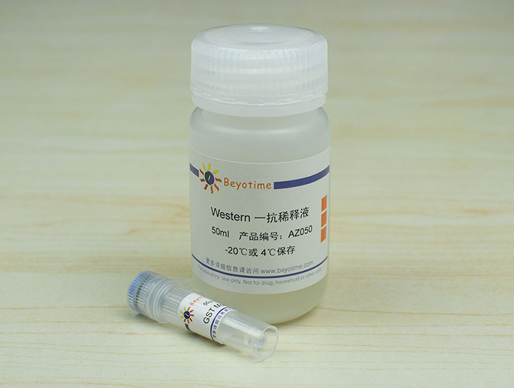 GST Mouse Monoclonal Antibody抗体 - Beyotime/碧云天