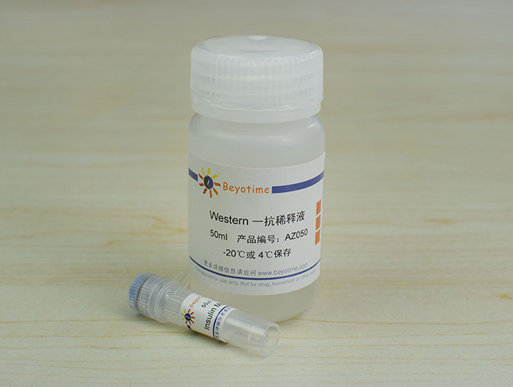 Insulin Mouse Monoclonal Antibody抗体 - Beyotime/碧云天