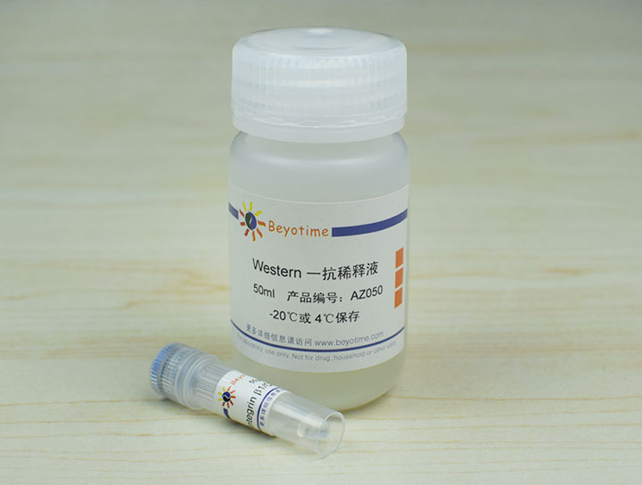 Integrin &beta;1/CD29 Rabbit Polyclonal Antibody抗体 - Beyotime/碧云天
