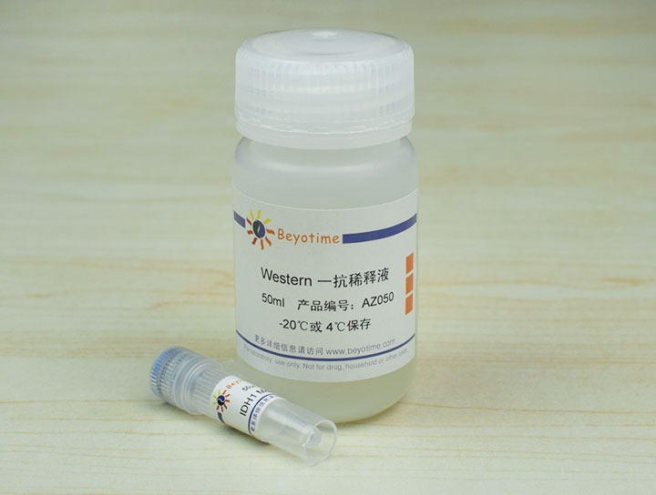 Isocitrate dehydrogenase/IDH1 Mouse Monoclonal Antibody抗体 - Beyotime/碧云天