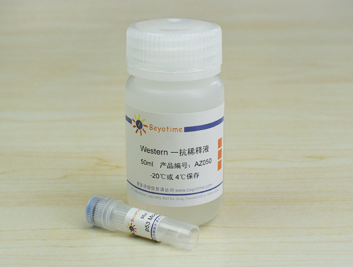 p53 Mouse Monoclonal Antibody抗体 - Beyotime/碧云天