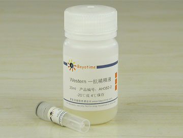 HDAC2抗体(小鼠单抗) - Beyotime/碧云天