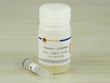 HDAC3抗体(小鼠单抗) - Beyotime/碧云天