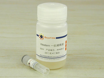 Histone H2B抗体(小鼠单抗) - Beyotime/碧云天