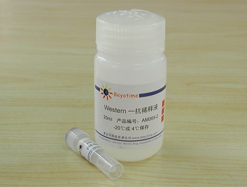 p38 MAPK抗体(小鼠单抗) - Beyotime/碧云天