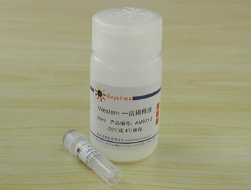 Myc抗体(兔单抗)