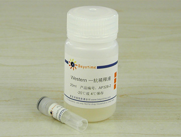 Phospho-PERK(Thr980)抗体(兔单抗)