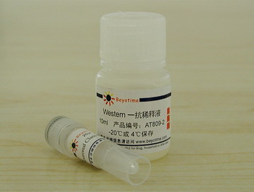 Neuronal Class III &beta;-Tubulin(Tuj1)抗体(小鼠单抗)