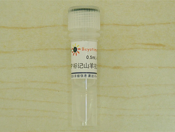 辣根过氧化物酶标记山羊抗大鼠IgG(H+L) - Beyotime/碧云天