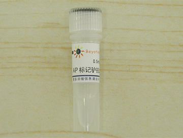 碱性磷酸酯酶标记驴抗山羊IgG(H+L) - Beyotime/碧云天