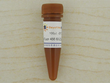 AF488标记山羊抗小鼠IgG (H+L)