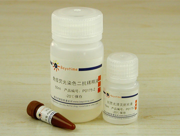 免疫荧光染色试剂盒-抗兔Alexa Fluor 350