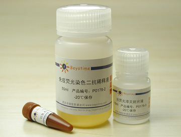 免疫荧光染色试剂盒-抗兔Alexa Fluor 555