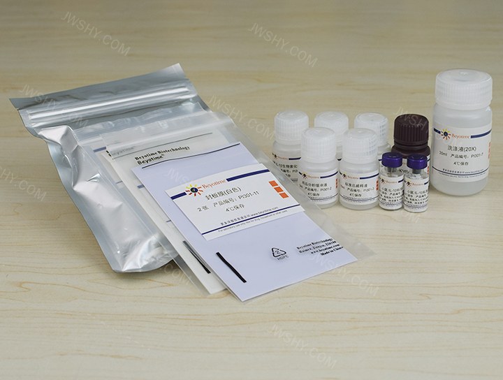 Mouse IL-1&beta; ELISA Kit（试剂盒） - Beyotime/碧云天