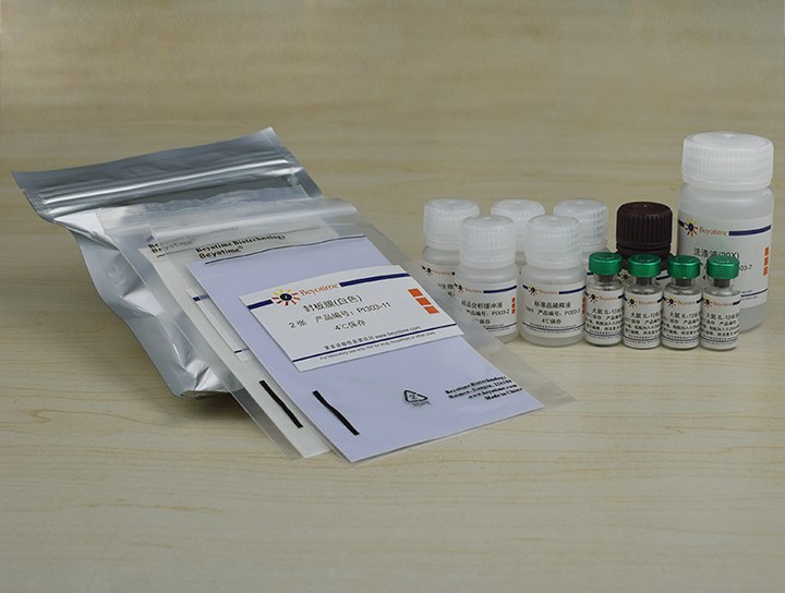 Rat IL-1β ELISA Kit(试剂盒)