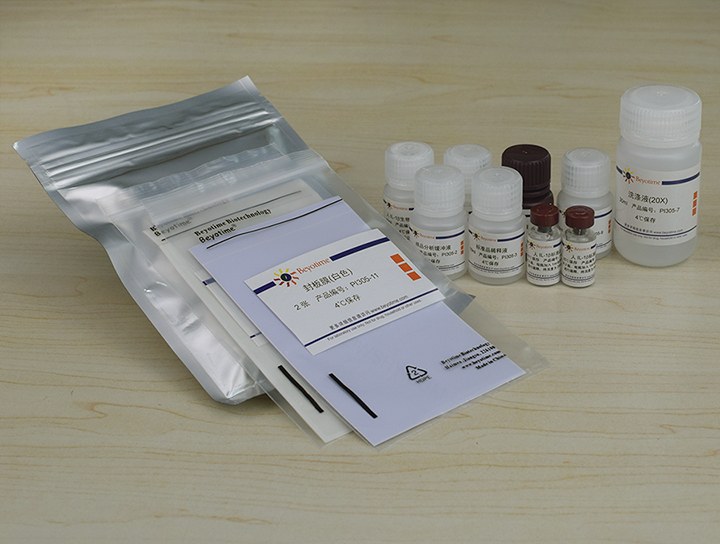 Human IL-1&beta; ELISA Kit（试剂盒） - Beyotime/碧云天