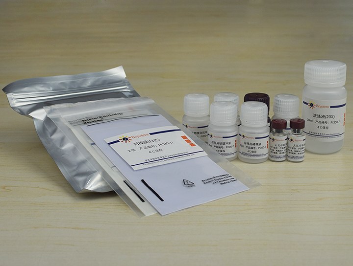 Human IL-6 ELISA Kit（试剂盒） - Beyotime/碧云天