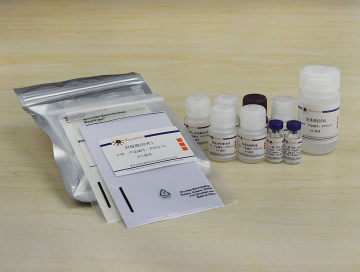 Mouse TNF-&alpha; ELISA Kit（试剂盒） - Beyotime/碧云天