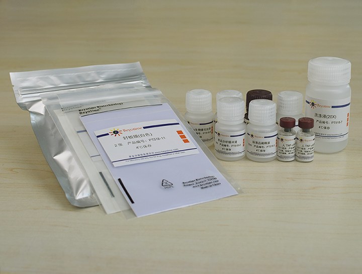 Human TNF-&alpha; ELISA Kit（试剂盒） - Beyotime/碧云天