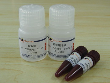 Caspase 2 活性检测试剂盒
