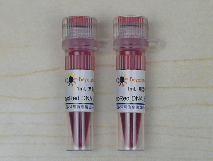 BeyoRed DNA上样缓冲液(6X)