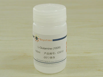 L-Glutamine (100X) - Beyotime/碧云天