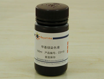 甲基绿染色液