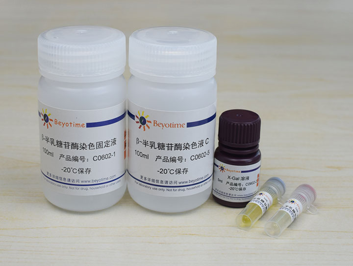 细胞衰老&beta;-半乳糖苷酶染色试剂盒