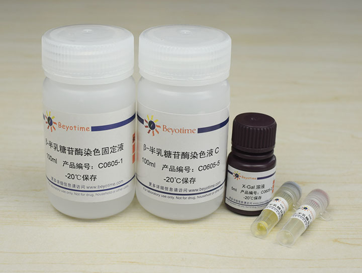 溶酶体&beta;-半乳糖苷酶染色试剂盒