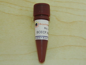 BCECF AM (pH荧光探针, 5mM) - Beyotime/碧云天