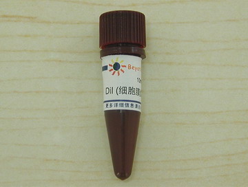 DiI (细胞膜红色荧光探针)