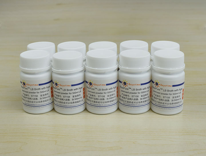 BeyoPure LB Broth with Agar (premixed powder)（试剂） - Beyotime/碧云天