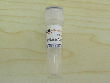 RNase A (100mg/ml)(试剂)