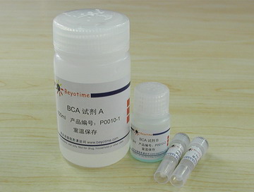 BCA 蛋白浓度测定试剂盒 - Elabscience/伊莱瑞特