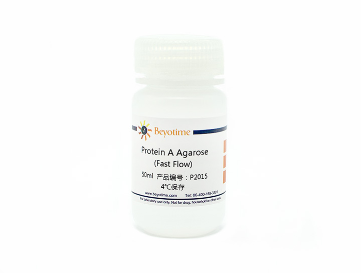 试剂Protein A Agarose (Fast Flow) - Beyotime/碧云天