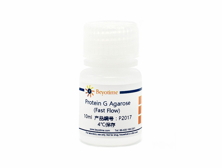 试剂Protein G Agarose (Fast Flow) - Beyotime/碧云天