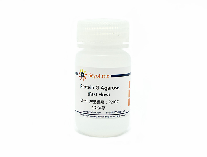 试剂Protein G Agarose (Fast Flow) - Beyotime/碧云天