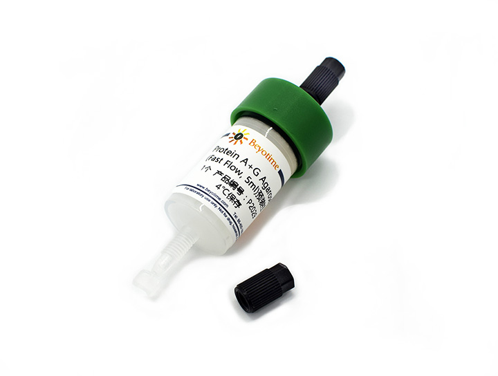 Protein A+G Agarose (Fast Flow, 5ml)预装柱 - Beyotime/碧云天