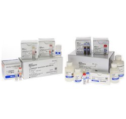 resDNASEQ NS0 DNA 定量检测试剂盒和 PrepSEQ 残留DNA样品制备试剂盒 - Bioss/博奥森
