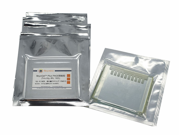 BeyoGelPlus PAGE预制胶(Tris-Gly, 8%, 10孔)