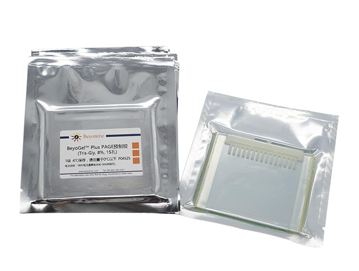 BeyoGelPlus PAGE预制胶(Tris-Gly, 8%, 15孔)