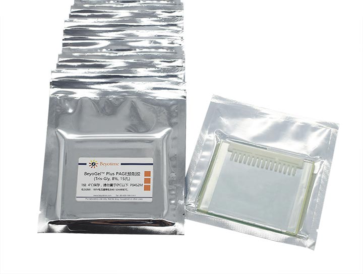 BeyoGelPlus PAGE预制胶(Tris-Gly, 8%, 15孔)