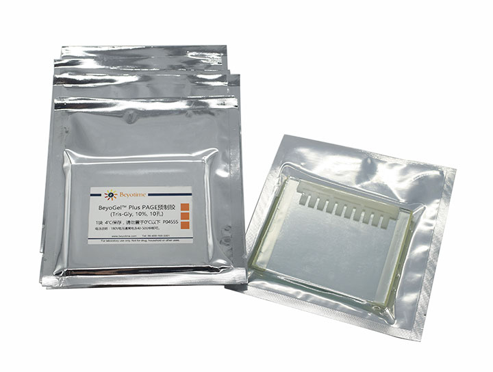 BeyoGelPlus PAGE预制胶(Tris-Gly, 10%, 10孔)