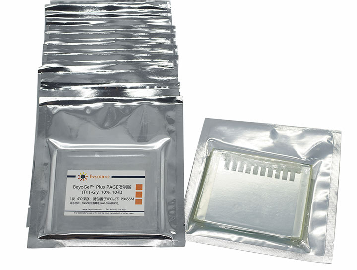 BeyoGelPlus PAGE预制胶(Tris-Gly, 10%, 10孔)