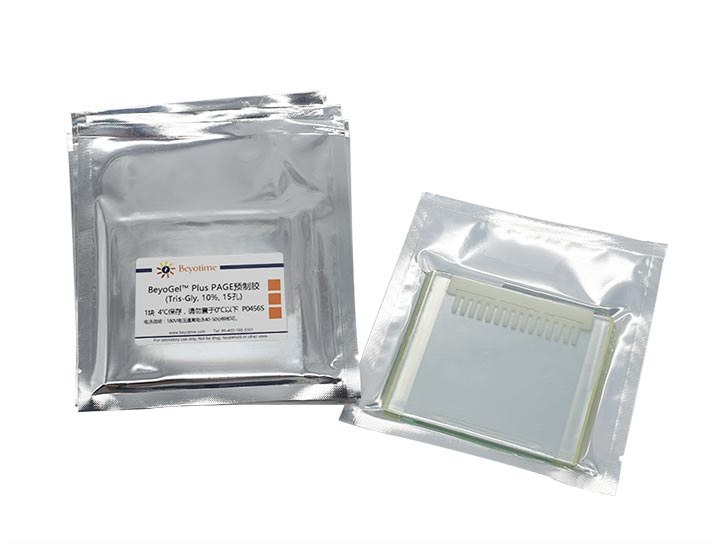 BeyoGelPlus PAGE预制胶(Tris-Gly, 10%, 15孔)