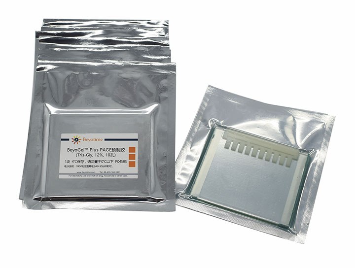 BeyoGelPlus PAGE预制胶(Tris-Gly, 12%, 10孔) - Beyotime/碧云天