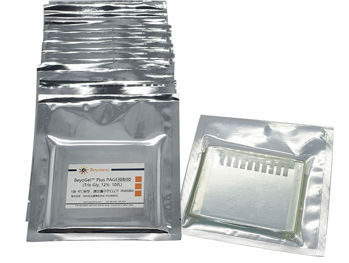 BeyoGelPlus PAGE预制胶(Tris-Gly, 12%, 10孔)