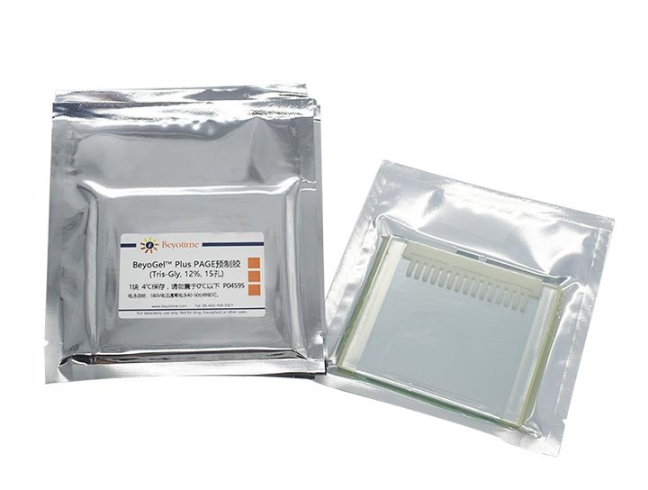 BeyoGelPlus PAGE预制胶(Tris-Gly, 12%, 15孔) - Beyotime/碧云天